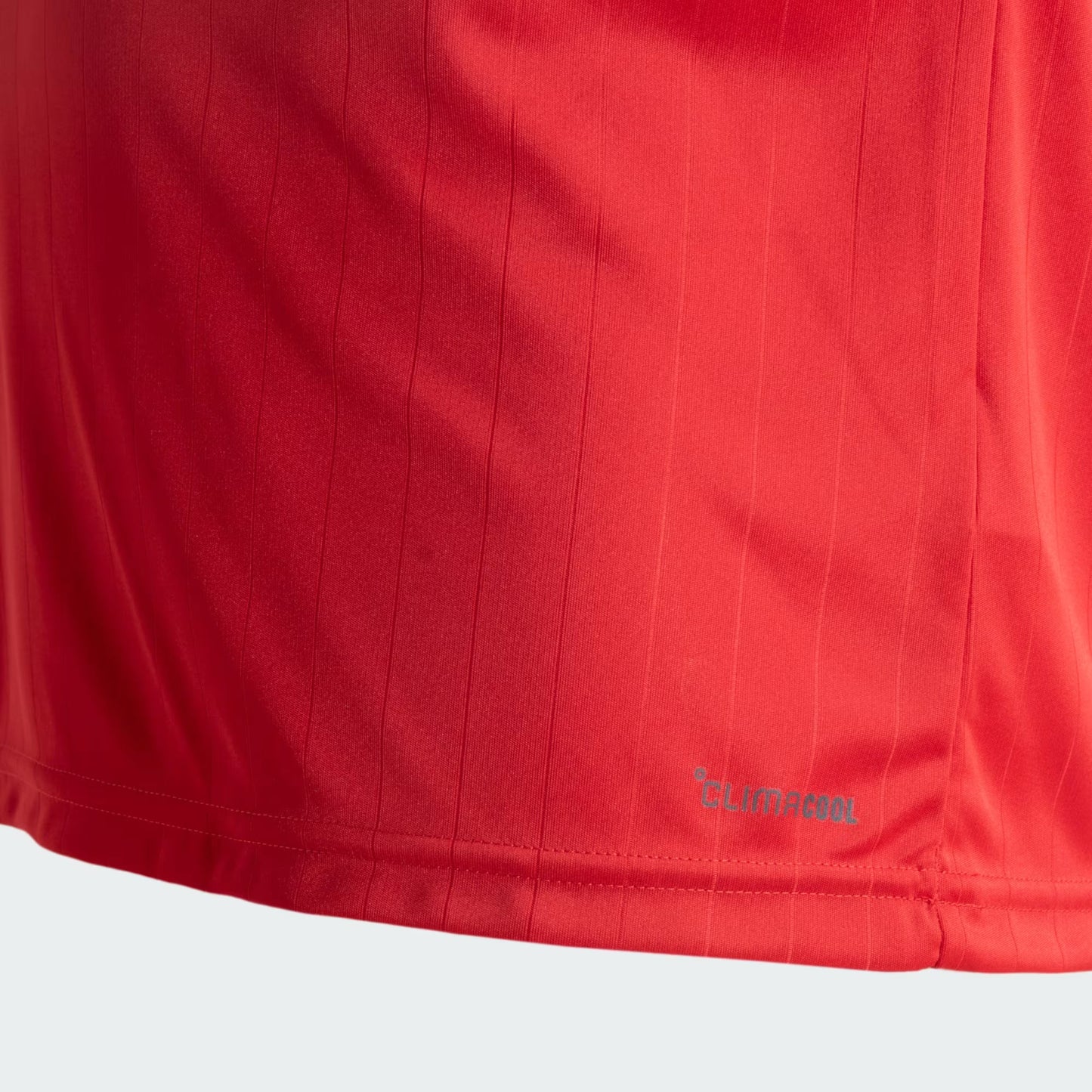 Camisa titular internacional 26/27